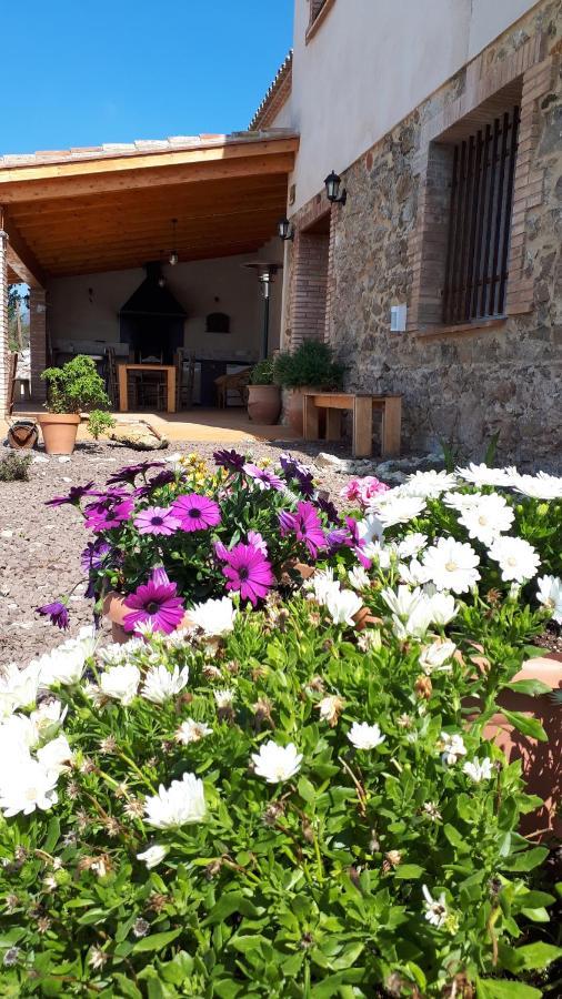 La Masia De Montpedros Peralada Buitenkant foto