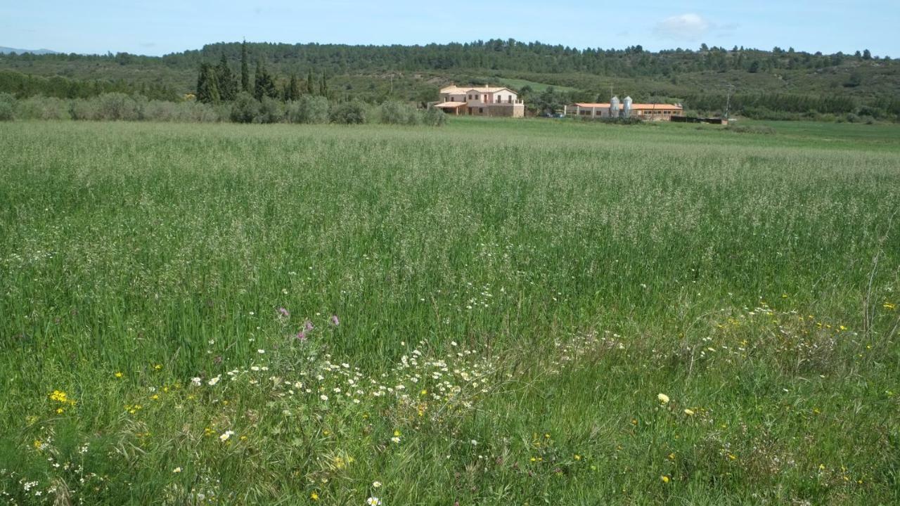 La Masia De Montpedros Peralada Buitenkant foto